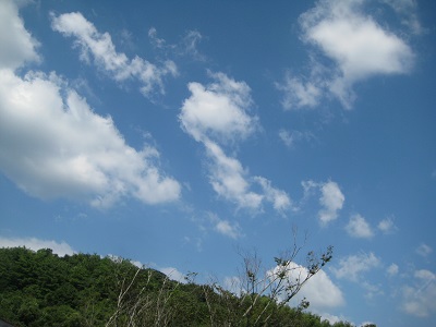 RESIDENT NEWS!! vol.4